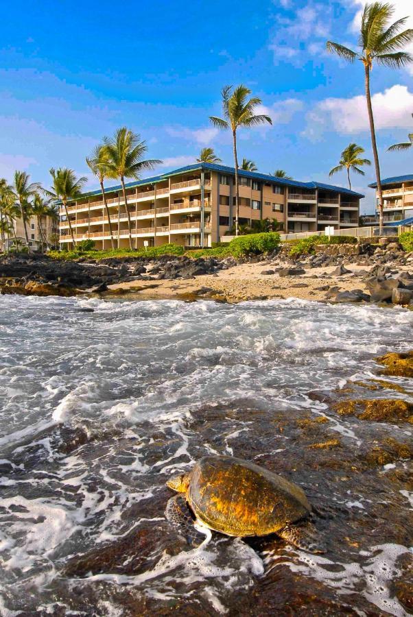 Kona Reef Hawaii By Raintree Aparthotel Καϊλούα-Κόνα Εξωτερικό φωτογραφία